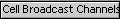 Cell Broadcast Channels